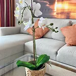 Apartment Living Brisas Maspalomas Sunny Maspalomas Playa del Ingles (Gran Canaria)