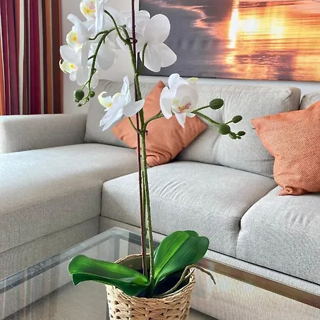 Apartment Living Brisas Maspalomas Sunny Maspalomas Playa del Ingles (Gran Canaria)