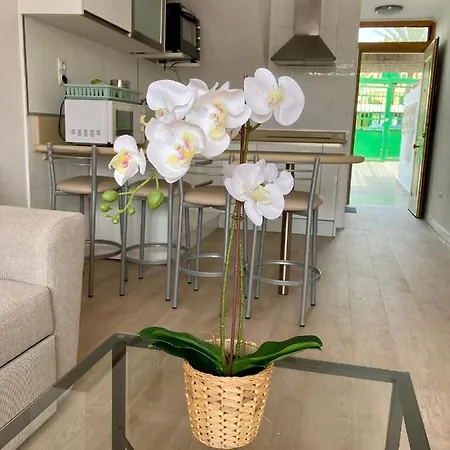 LIVING Las Brisas MASPALOMAS BUNGALOW