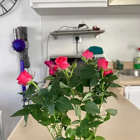 Living Brisas Maspalomas Sunny Maspalomas * Playa del Ingles (Gran Canaria)