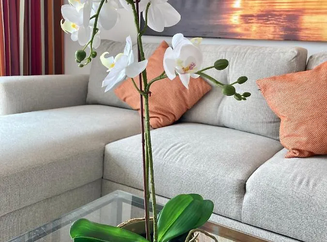 Apartment Living Brisas Maspalomas Sunny Maspalomas Playa del Ingles (Gran Canaria)