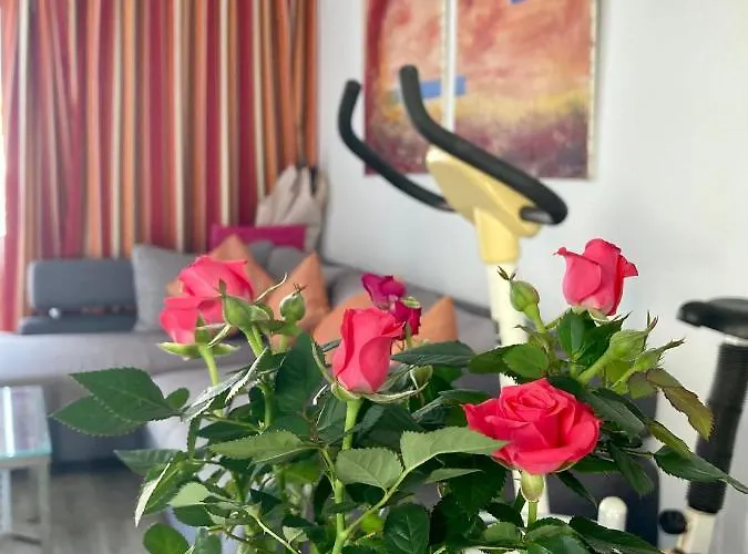 Living Brisas Maspalomas Sunny Maspalomas