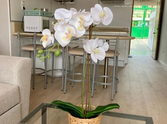 Living Brisas Maspalomas Sunny Maspalomas